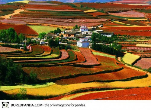 40-breathtaking-landscapes-will-force-you-to-move-to-china-9__605