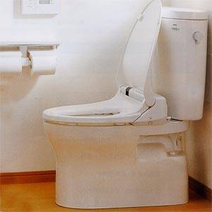 toilet_big