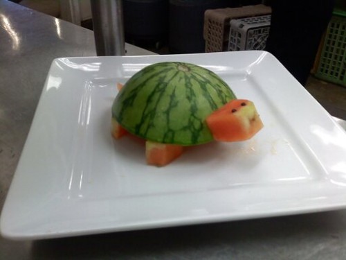 watermelon (1)