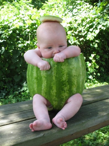 watermelon (4)