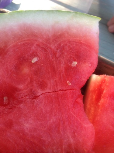 watermelon22 (3)