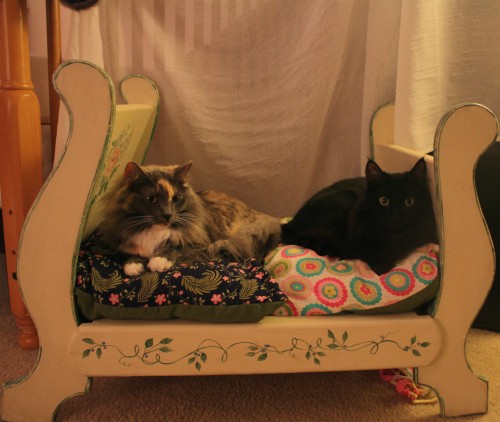 catbed (1)