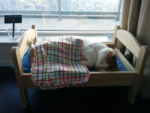 catbed (5)