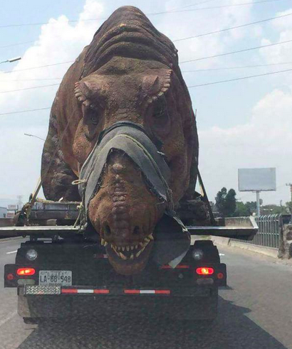 車で運ばれるティラノサウルス