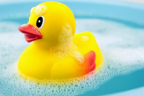 bath-toys-duck
