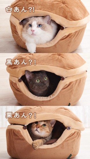 dorayaki_cat9