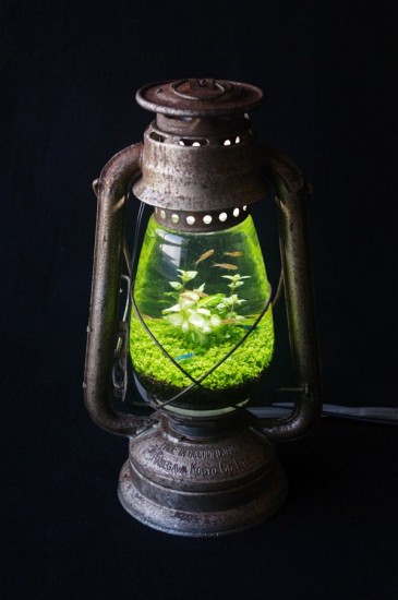 lamp_watertank