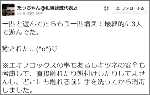 tweet_kitsune (2)