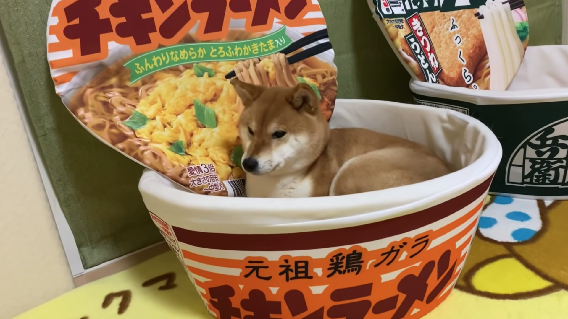 アウトレット品 日清チキンラーメン ペット用ベッド ienomat.com.br